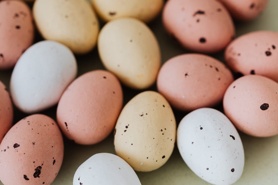 Bio-Eier Farbe erklärt